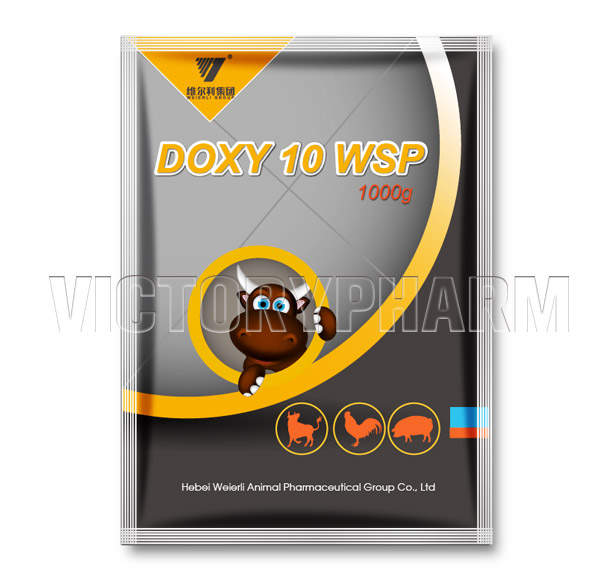 Doxy 10 WSP