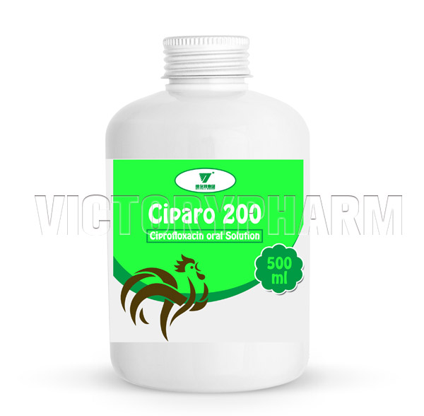 Ciparo 200