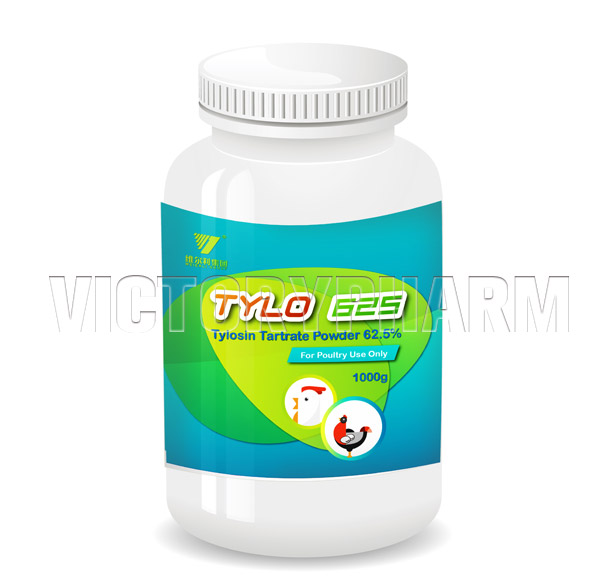 TYLO 625