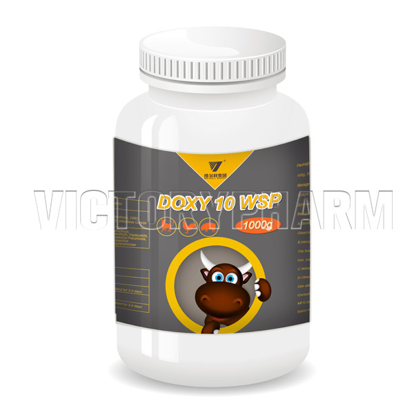 Doxy 10 WSP