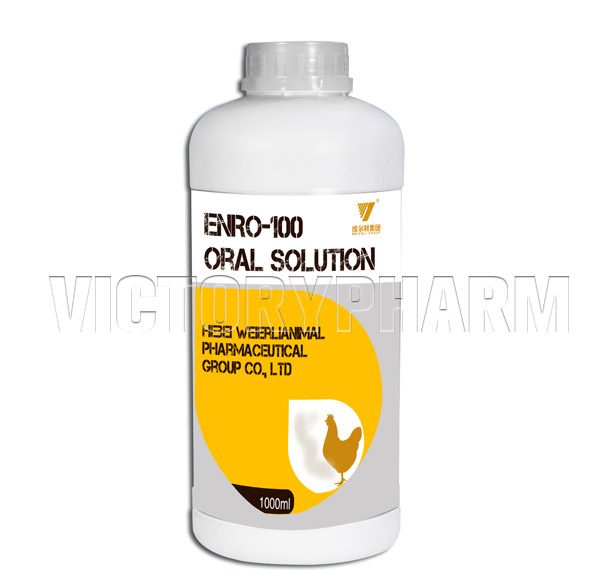 Enflox 100 Oral Solution