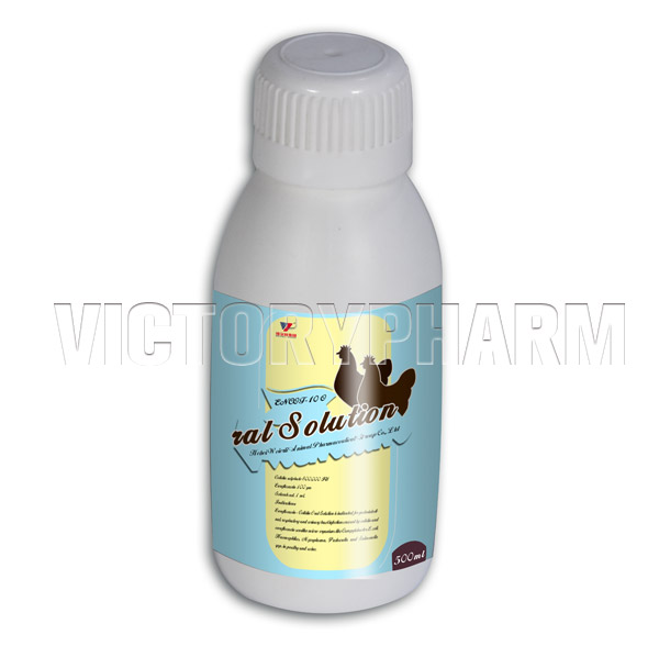 Enflox 100 Oral Solution