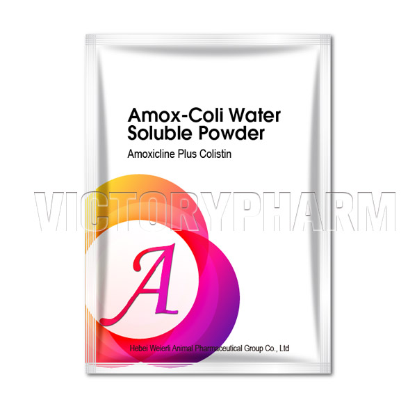 Amox-Coli WSP