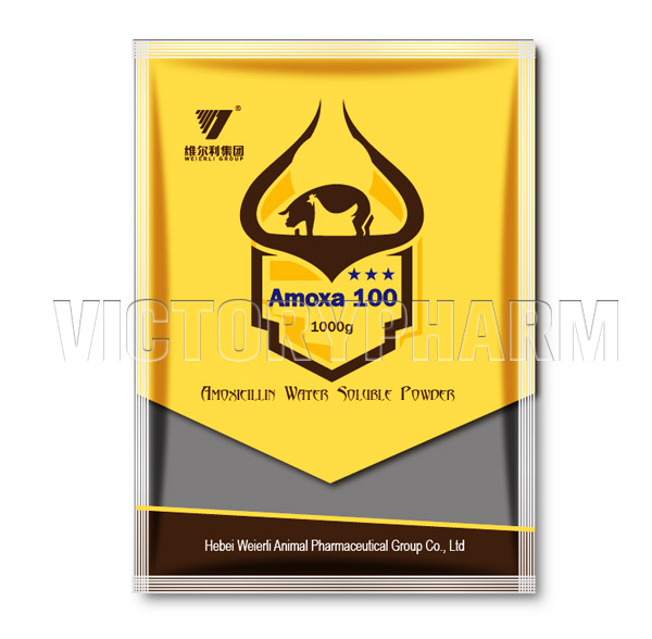 Amoxa 100 WSP