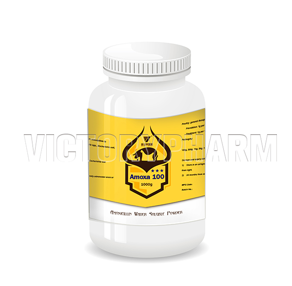 Amoxa 100 WSP