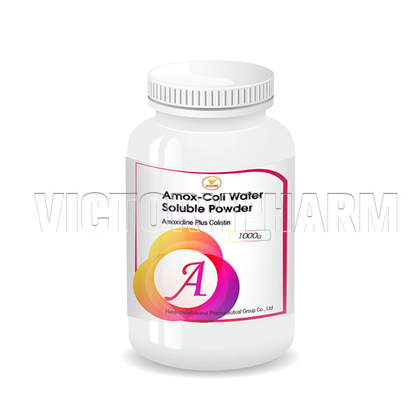 Amox-Coli WSP