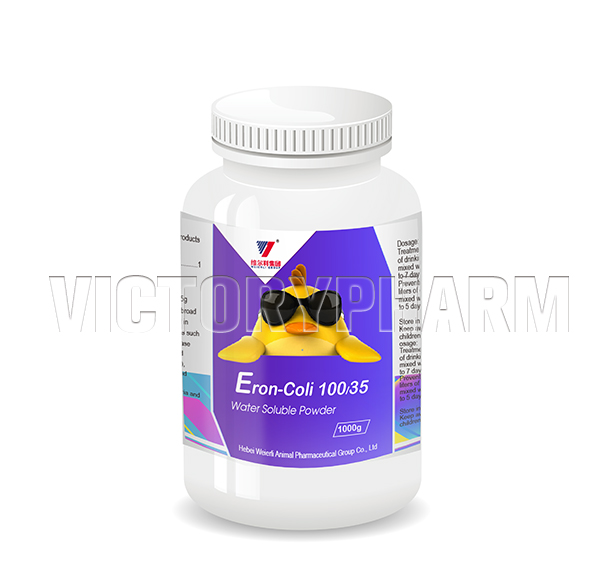 Eron-Coli 100/35