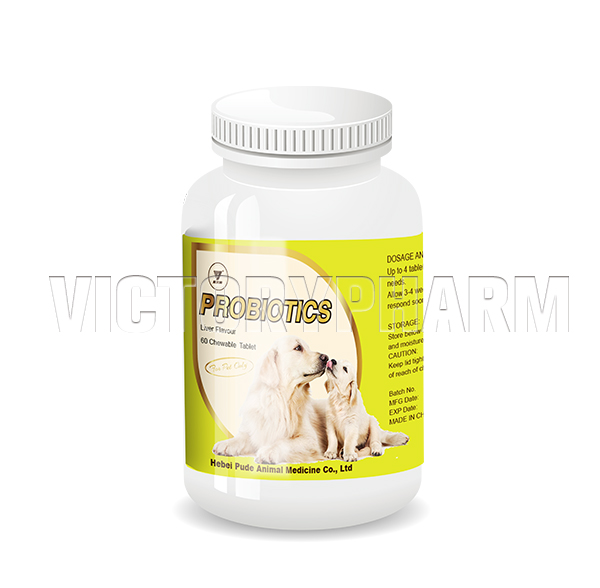 Probiotics Tablet for Pet